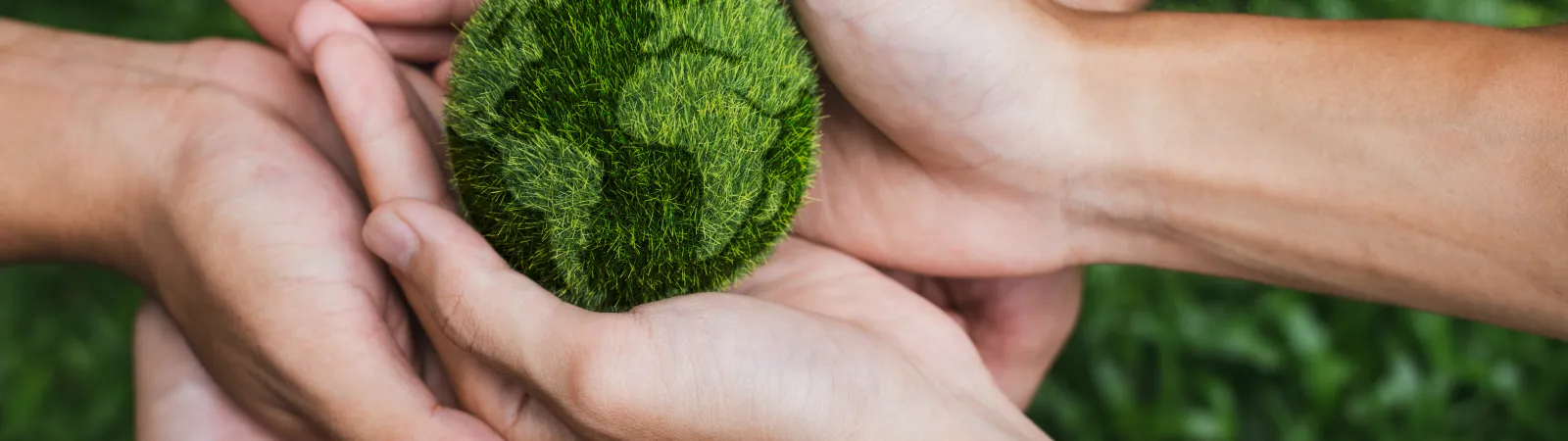 Hands of multiple people holding a green earth globe made of grass, symbolizing environmental care and unity.