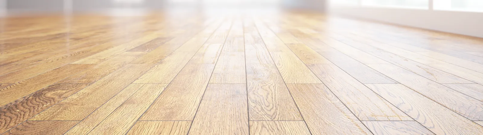 Hardwood Floor Cleaning