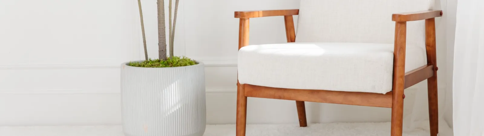 Carpet Cleaning Irving, TX