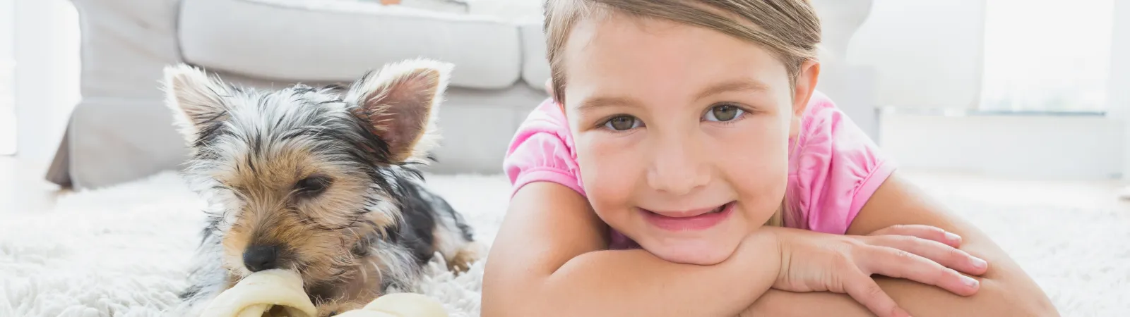 Pet Odor Treatment