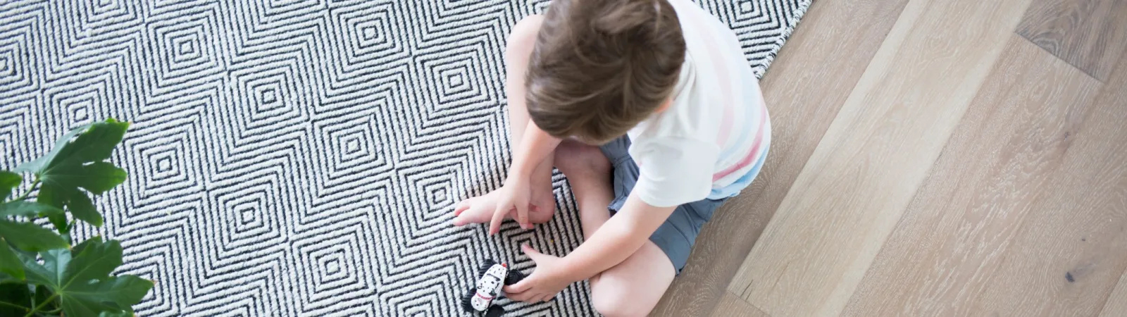 Carpet Cleaning Eden Prairie, Minnesota