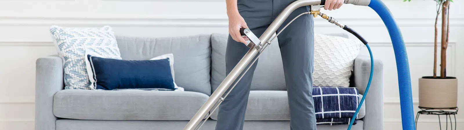 Carpet Cleaning in Roswell, GA