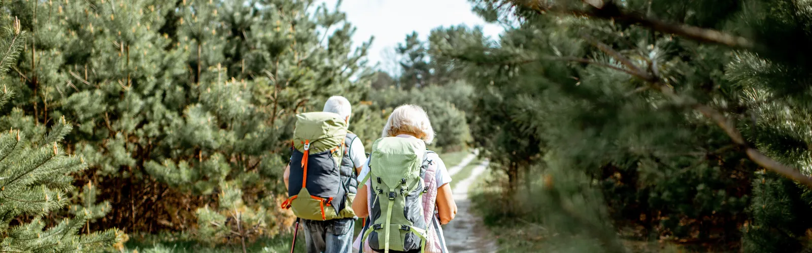 a couple of people hiking
