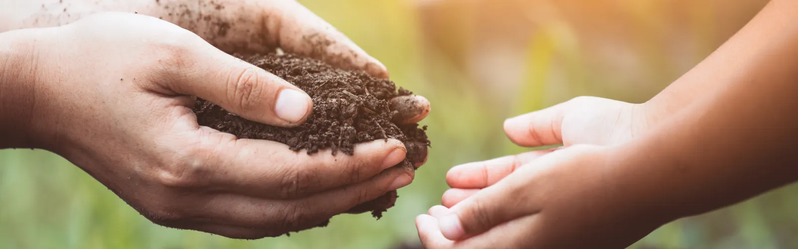 hands holding soil in a circle