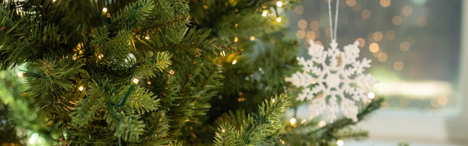 a tree with lights and ornaments