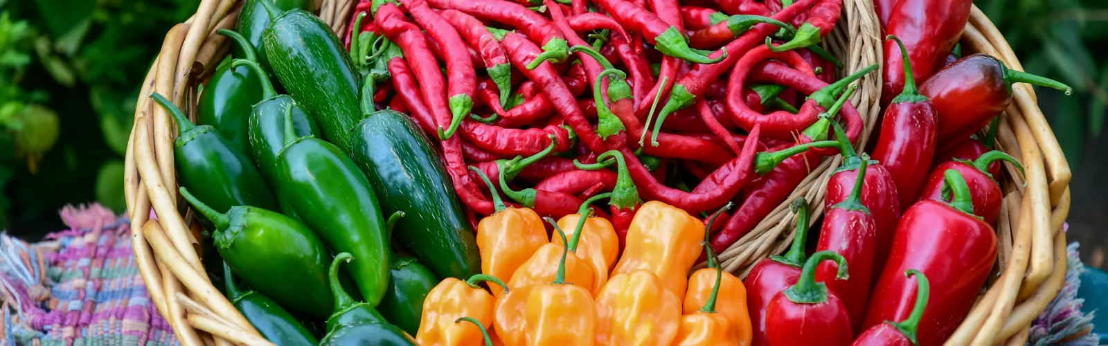 a basket of colorful peppers