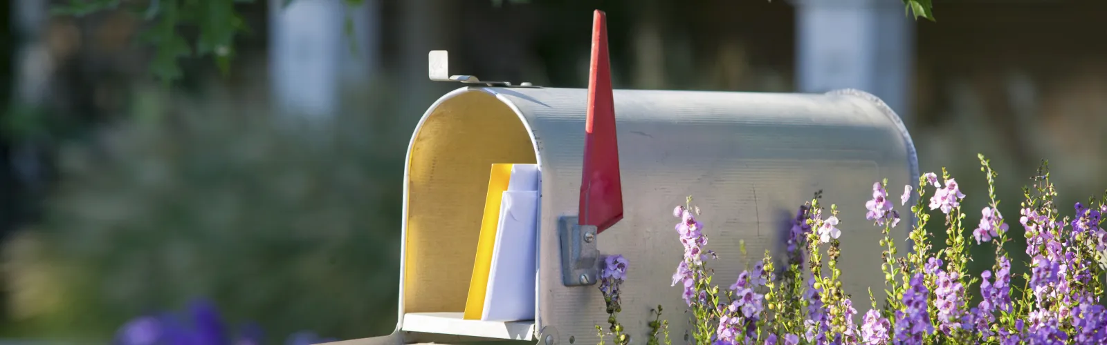 Mailbox with blooming purple flowers and maple tree branches