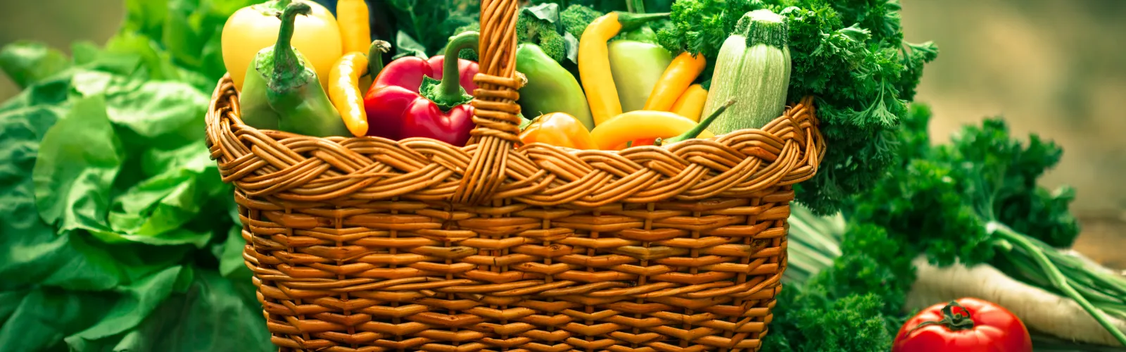 Garden veggies and herbs in a basket