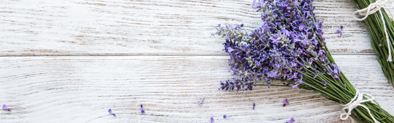 Fresh lavender flowers on wood background