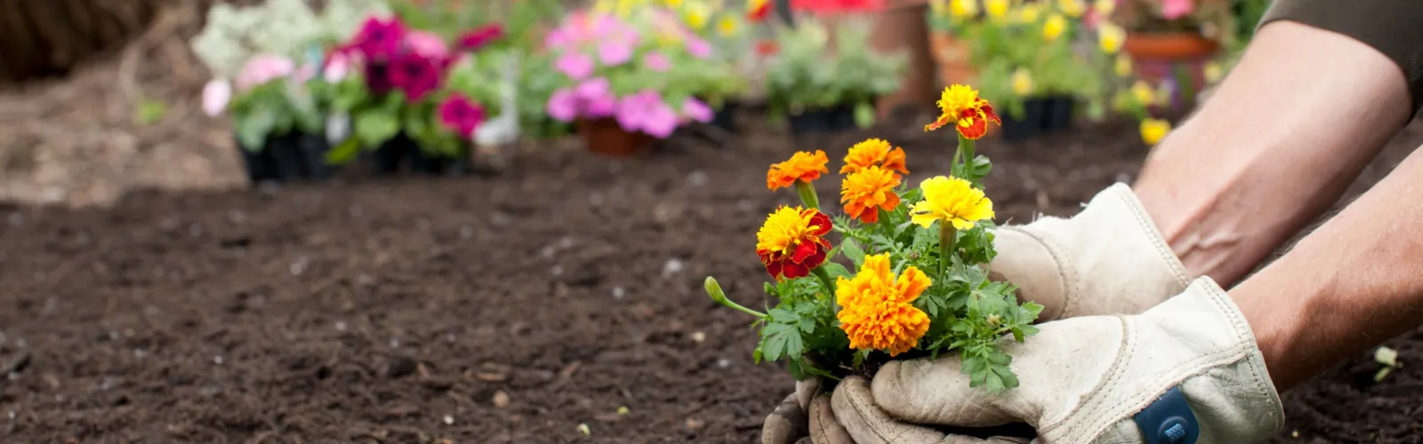 a person holding flowers