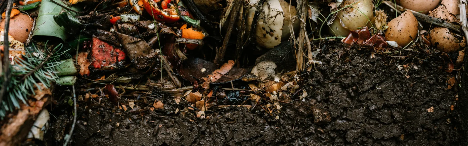 food scrap compost organic soil