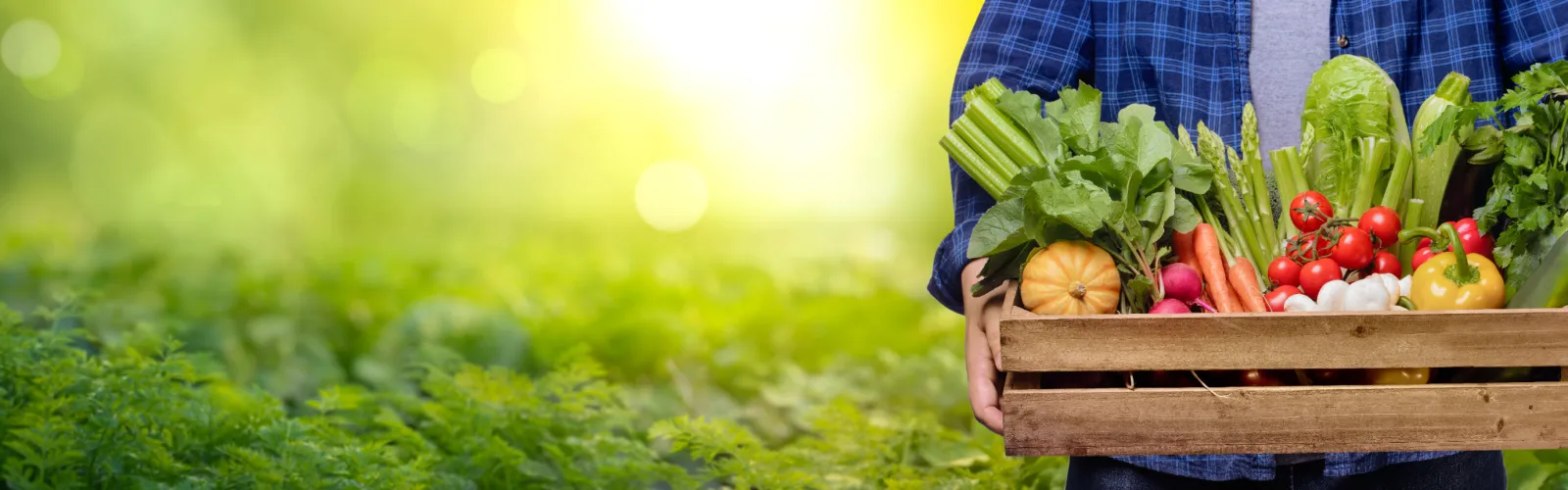 a person that is standing in the grass