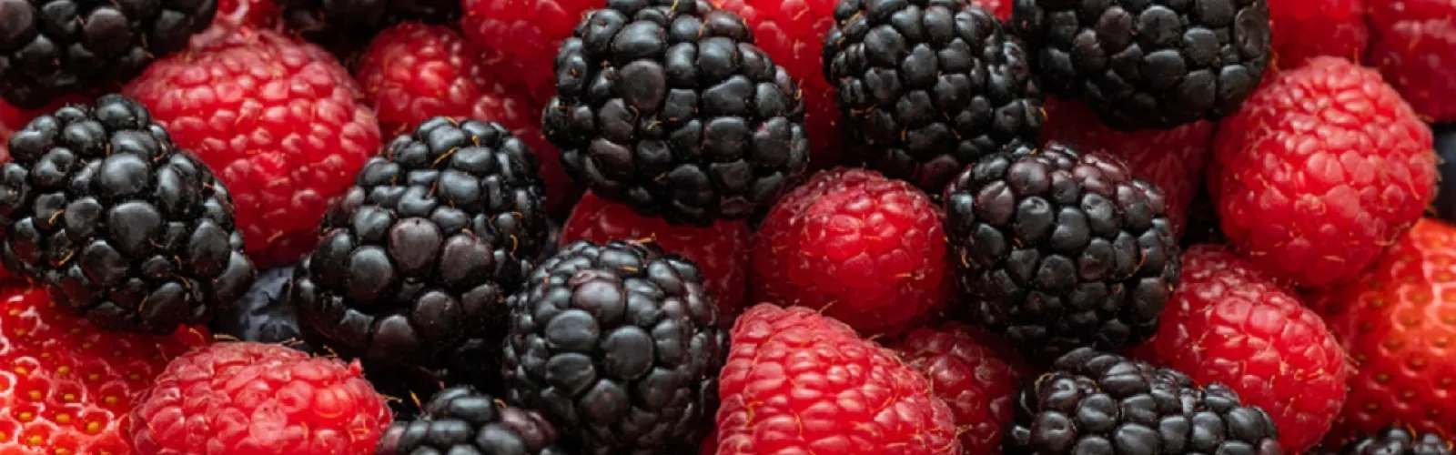 raspberries and blackberries