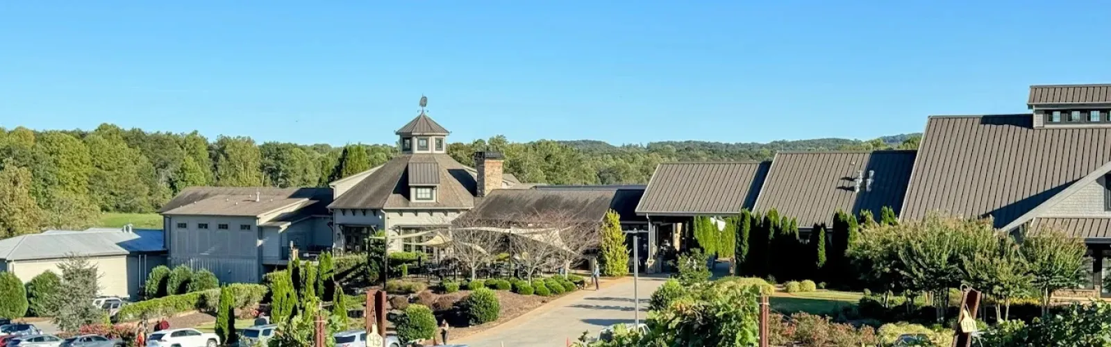 Vineyard rows leading to a large winery building with cars parked under a clear blue sky.