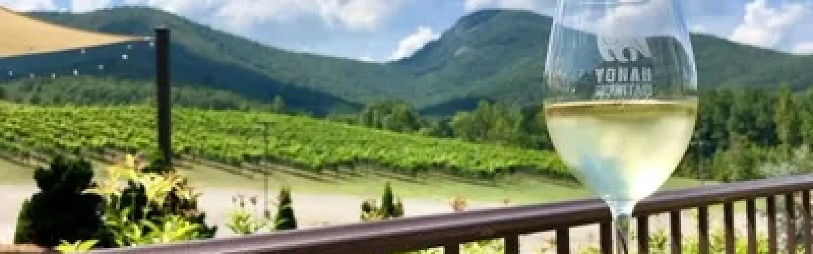 Glass of white wine on a table overlooking a vineyard with mountains and blue sky in the background