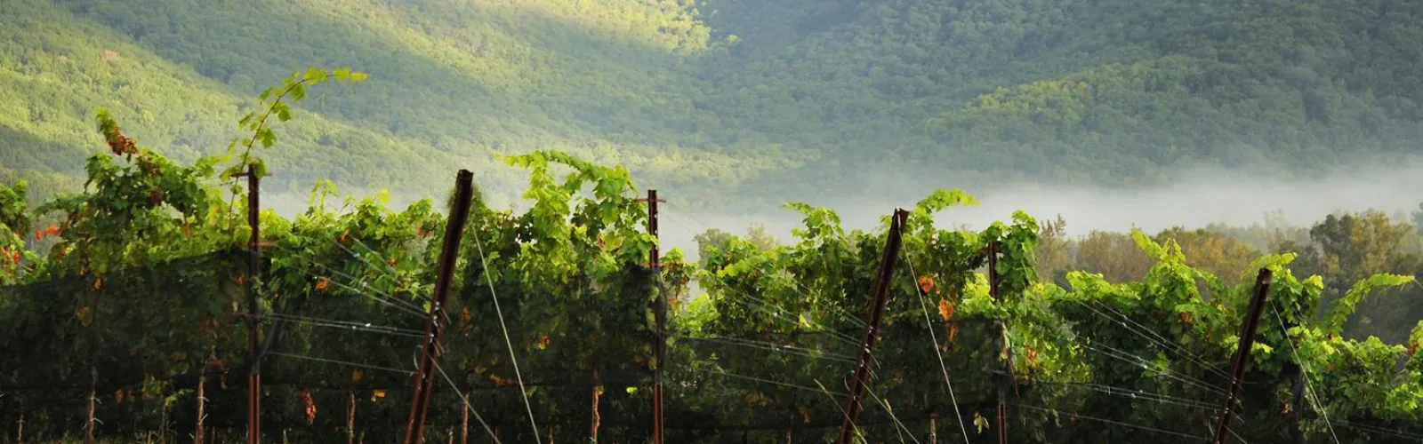 a fenced in area with trees and hills in the background