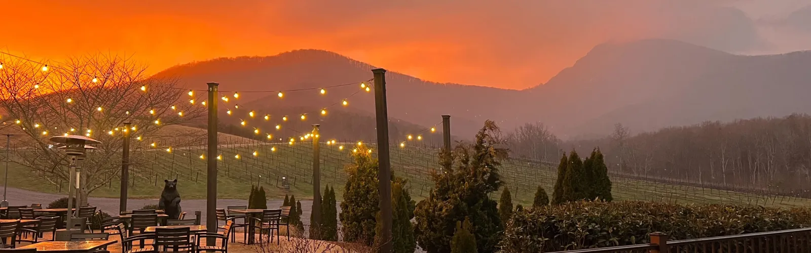 Outdoor patio with string lights at sunset overlooking vineyard and misty mountains in the background