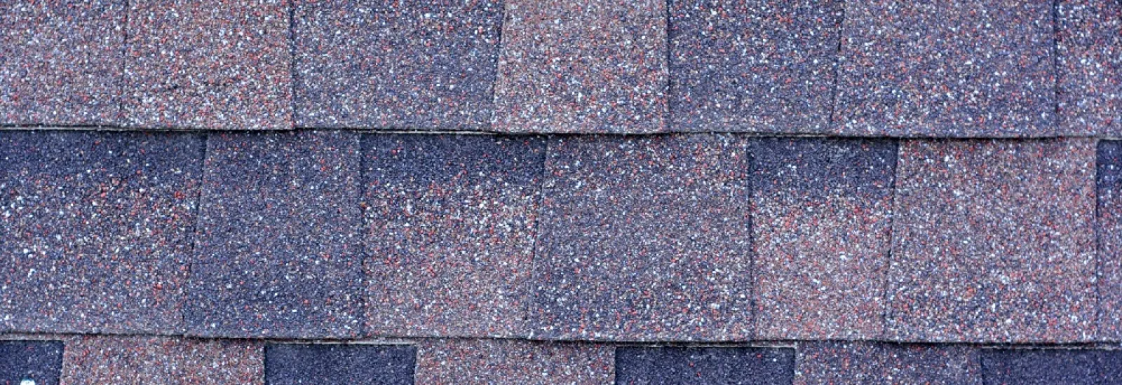 Improve the Look of Your Home with an Asphalt Roof in Tampa