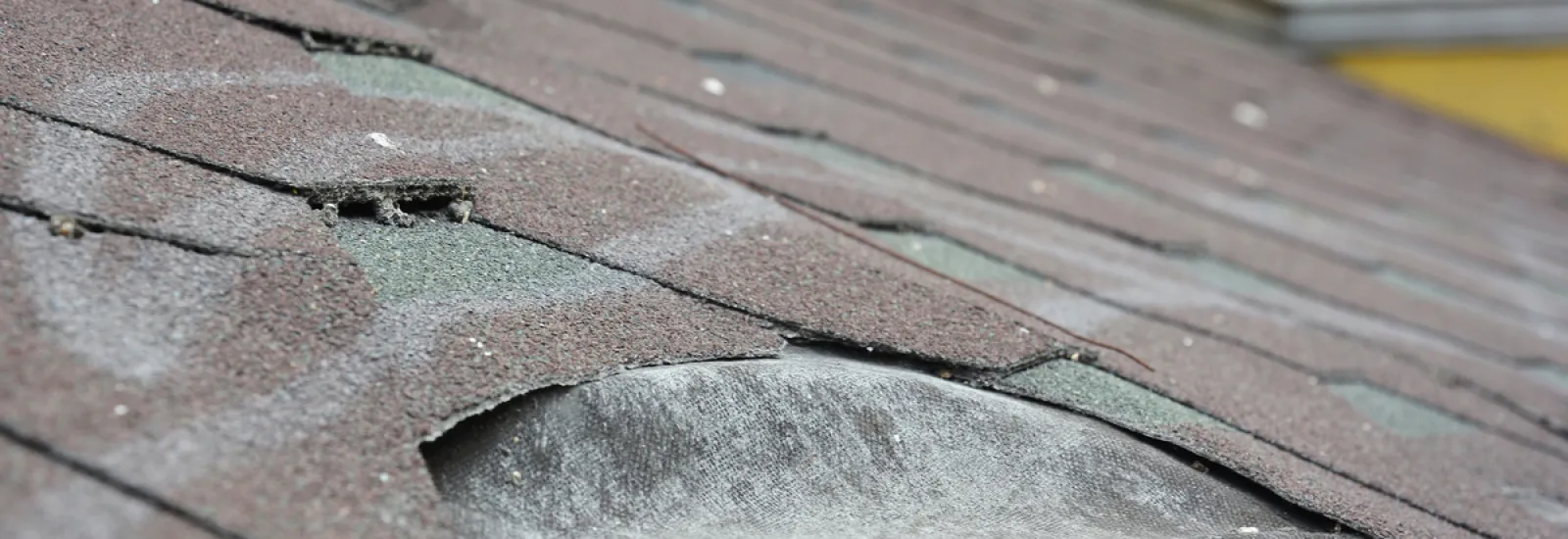 Common Roofing Issues and What to Do About Them