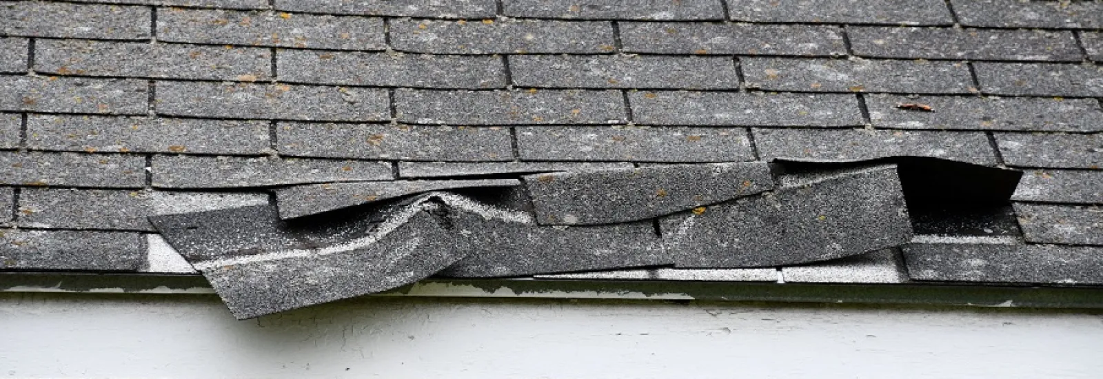 Importance of Inspecting Roof Damage after a Storm in South Florida