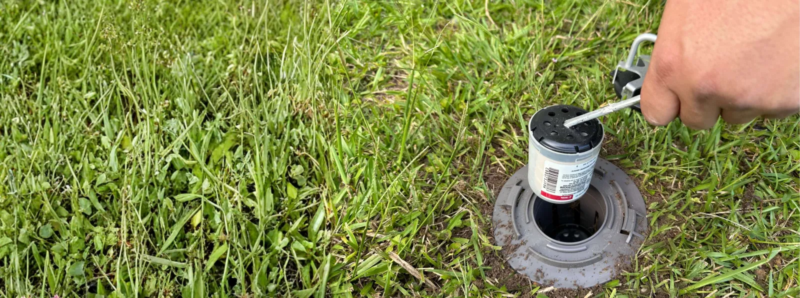 Hand removing sprinkler head with key tool from grass lawn irrigation system setup.