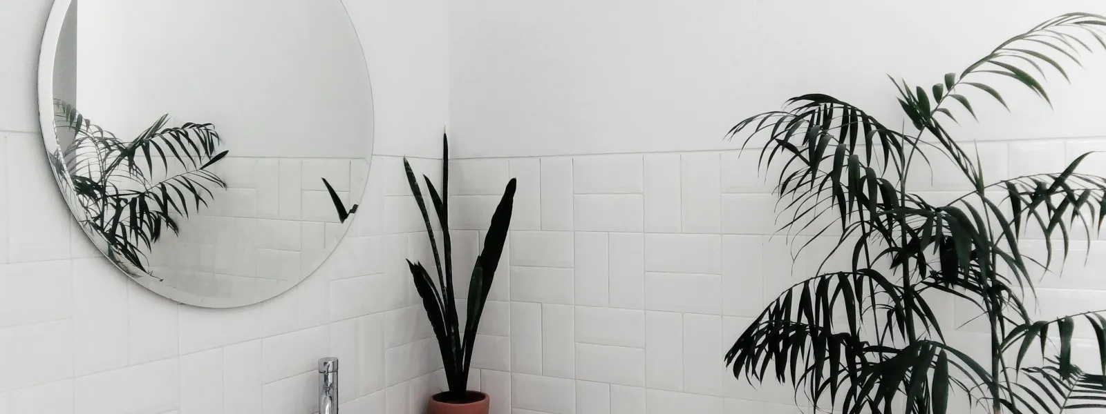 Transforming Your Bathroom: A Step-By-Step Guide