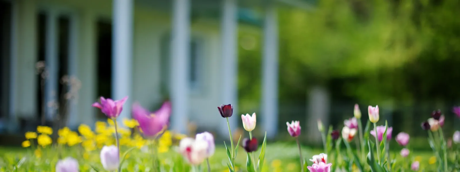 5 Home Improvement Ideas for Spring