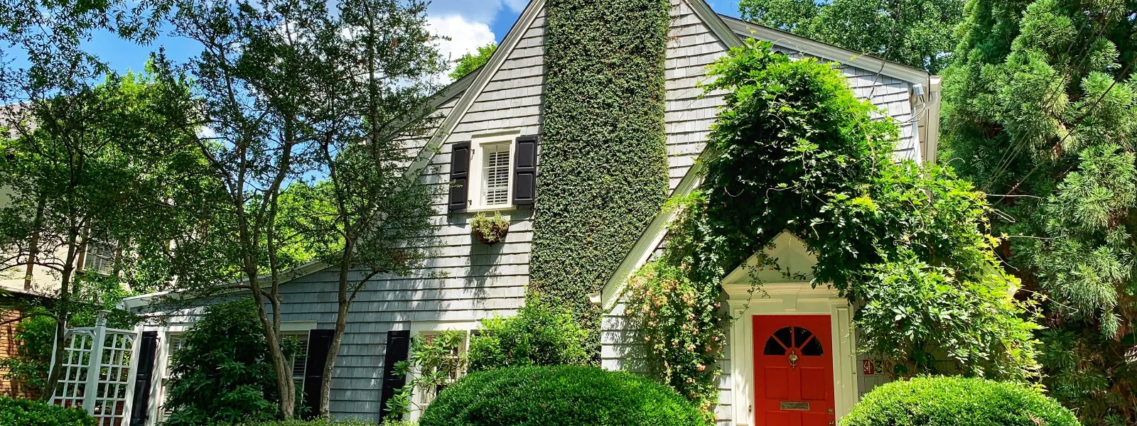 a house with ivy on it