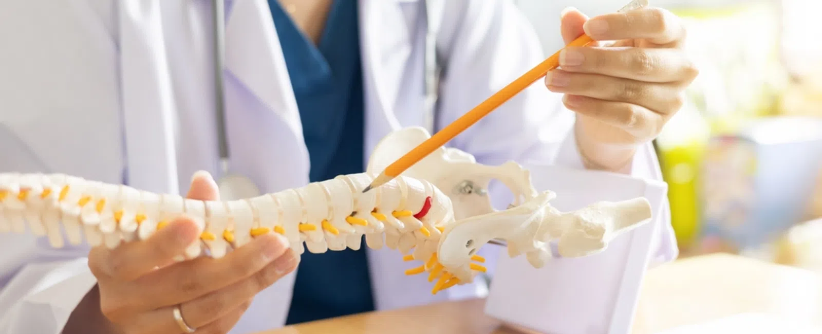 Doctor in white coat pointing with pencil at a detailed spine model during consultation.