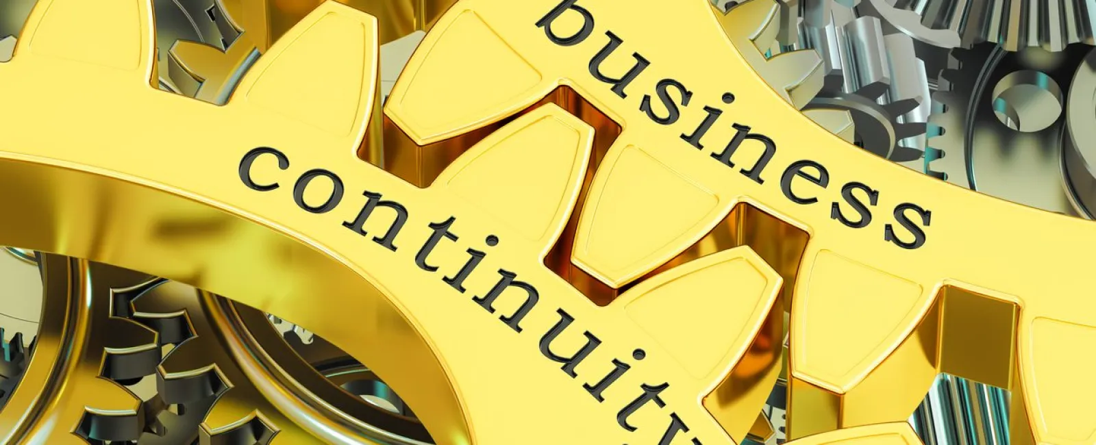 What Should be Included in a Business Continuity Plan?