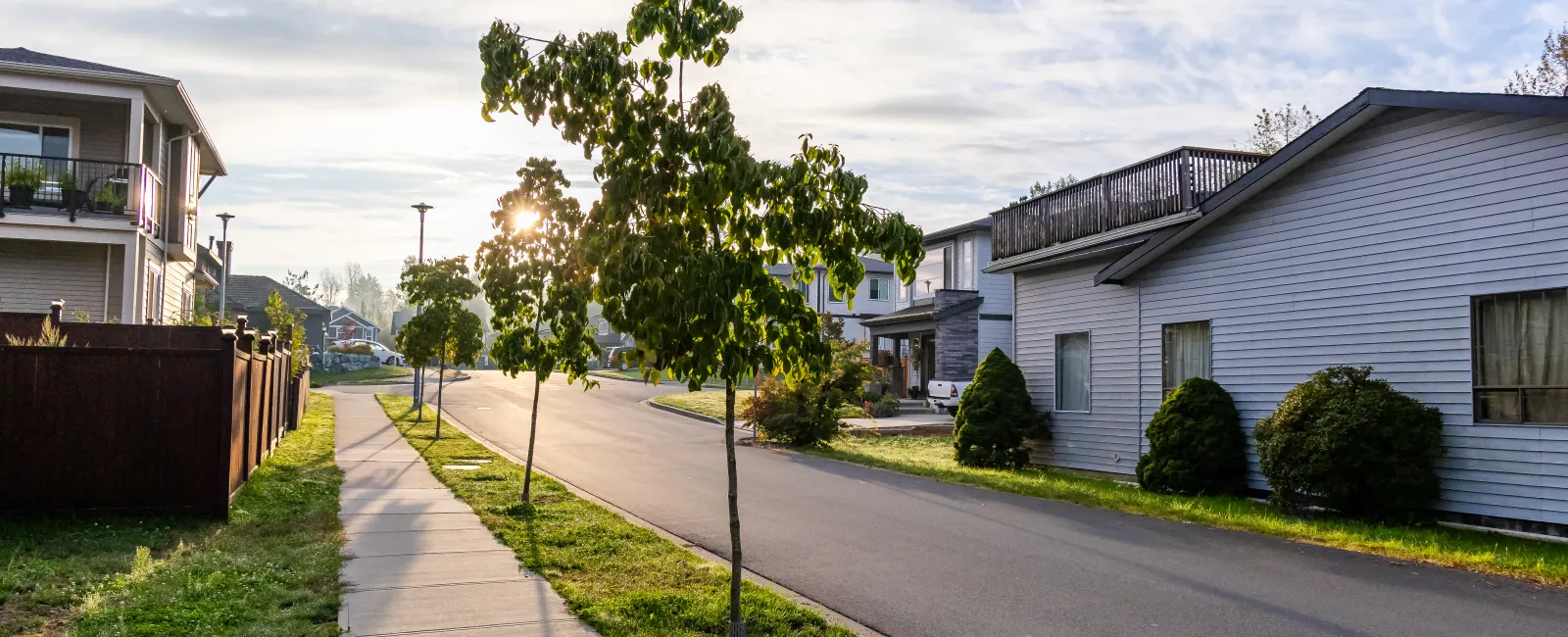 a sidewalk and trees next to a row of houses