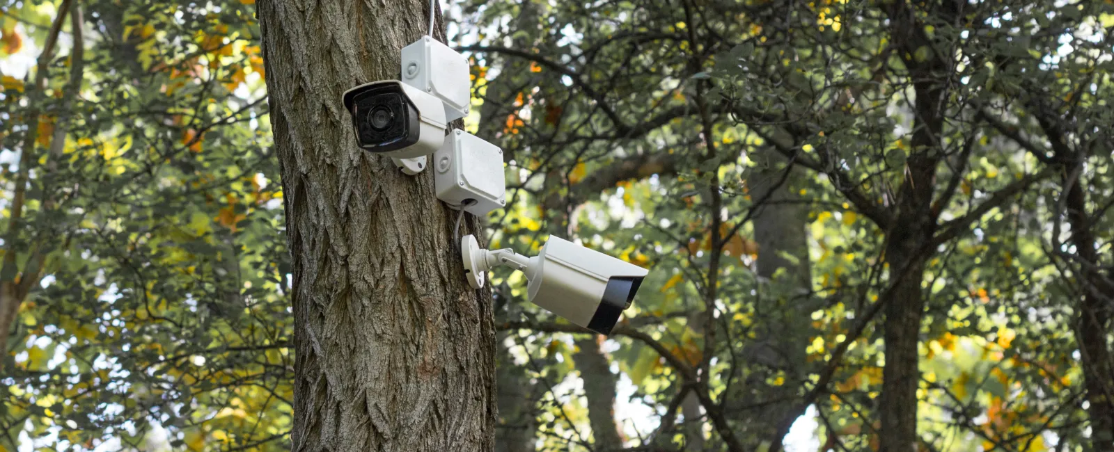 How Many Cameras Should You Have For Home Security?