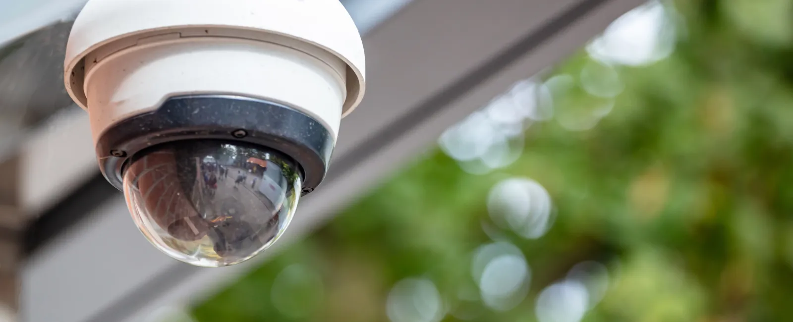 Wired vs. Wireless Security Cameras, Which is Better?