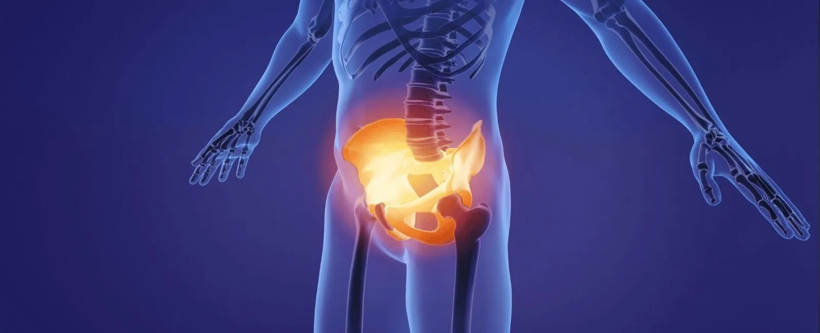 3D illustration of human pelvis and lower spine highlighted in orange within a translucent human body frame.