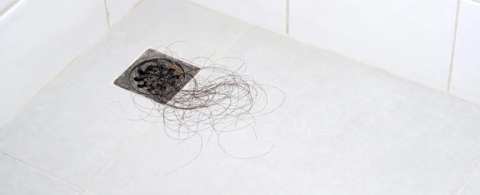 Can You Plunge a Shower Drain?