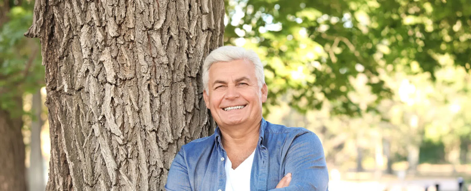 Smiling elderly man with white hair leans against a large tree trunk in a sunlit park with green foliage.