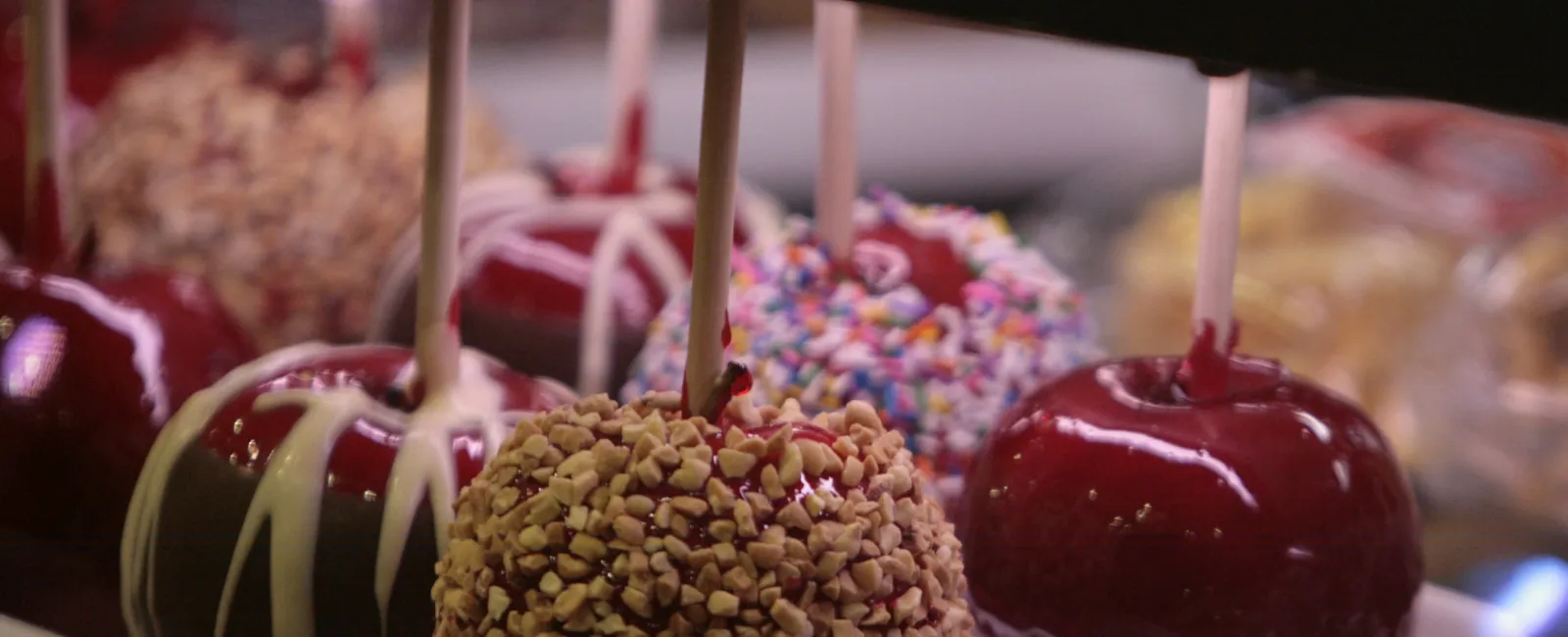 Variety of candy apples with nuts, sprinkles, and chocolate drizzle on sticks displayed in a case.