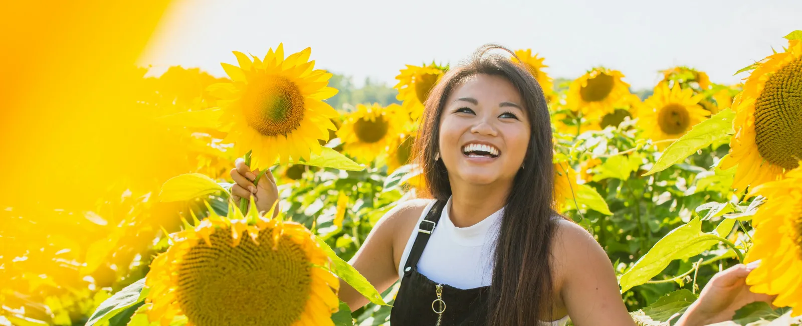 Young woman smiling in a vibrant sunflower field on a sunny day wearing a white shirt and black dress.