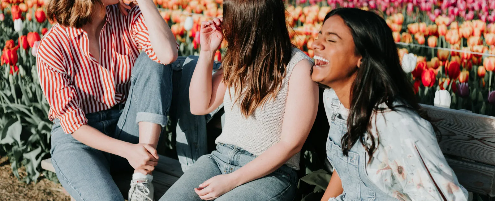 Three young women enjoy laughing together while sitting on a bench in a vibrant tulip field on a sunny day.