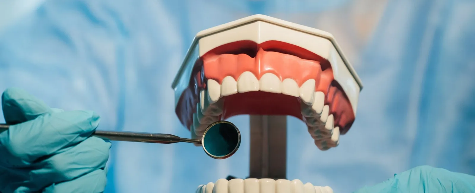 Effective Treatment for Gum Recession: Solutions and Insights