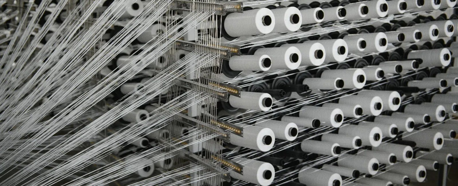 Rows of white thread spools with threads organized on a textile manufacturing machine in a factory.