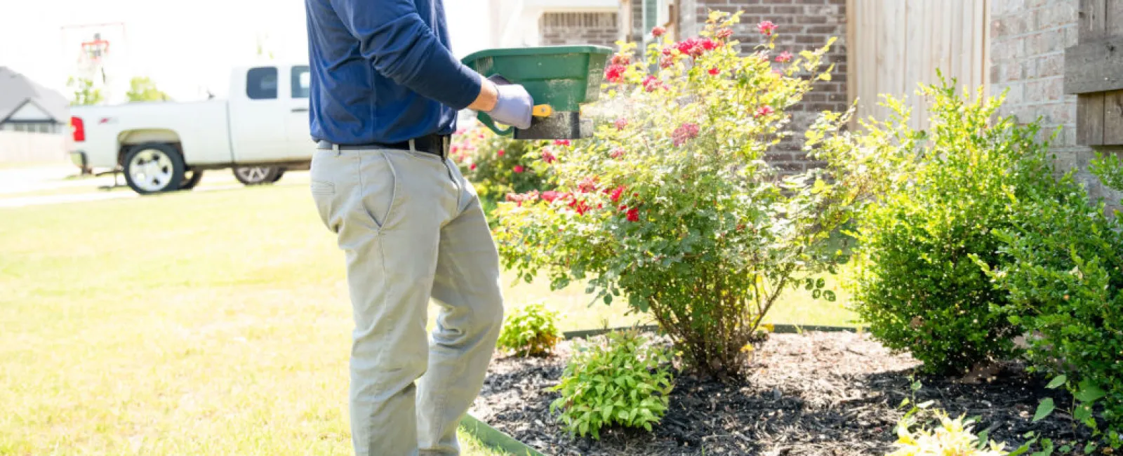 Don’t Let These Critters Bug You This Spring