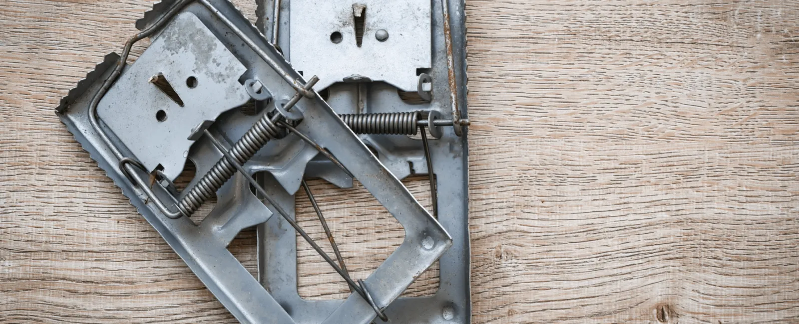 How Do You Get Rid of Pests Fast?