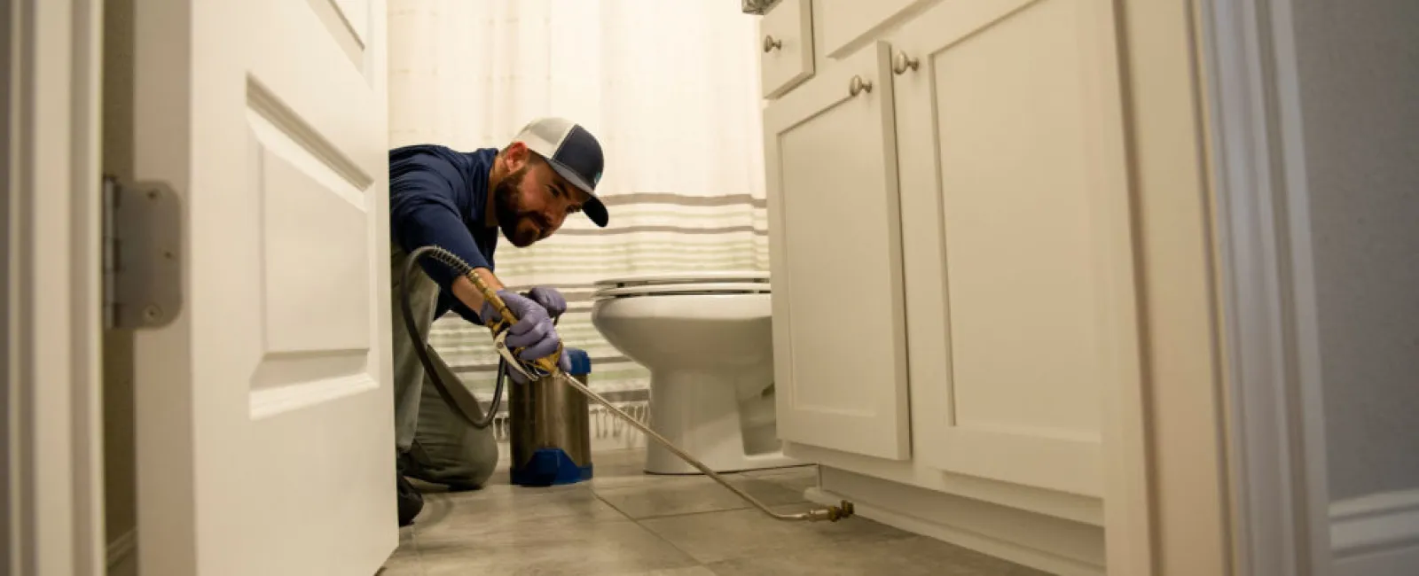 What Are The Three Types Of Pest Control?
