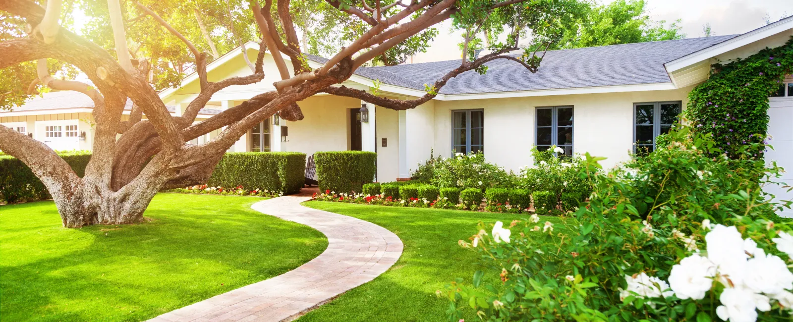 Charming white house with manicured garden and winding pathway under sunlight.