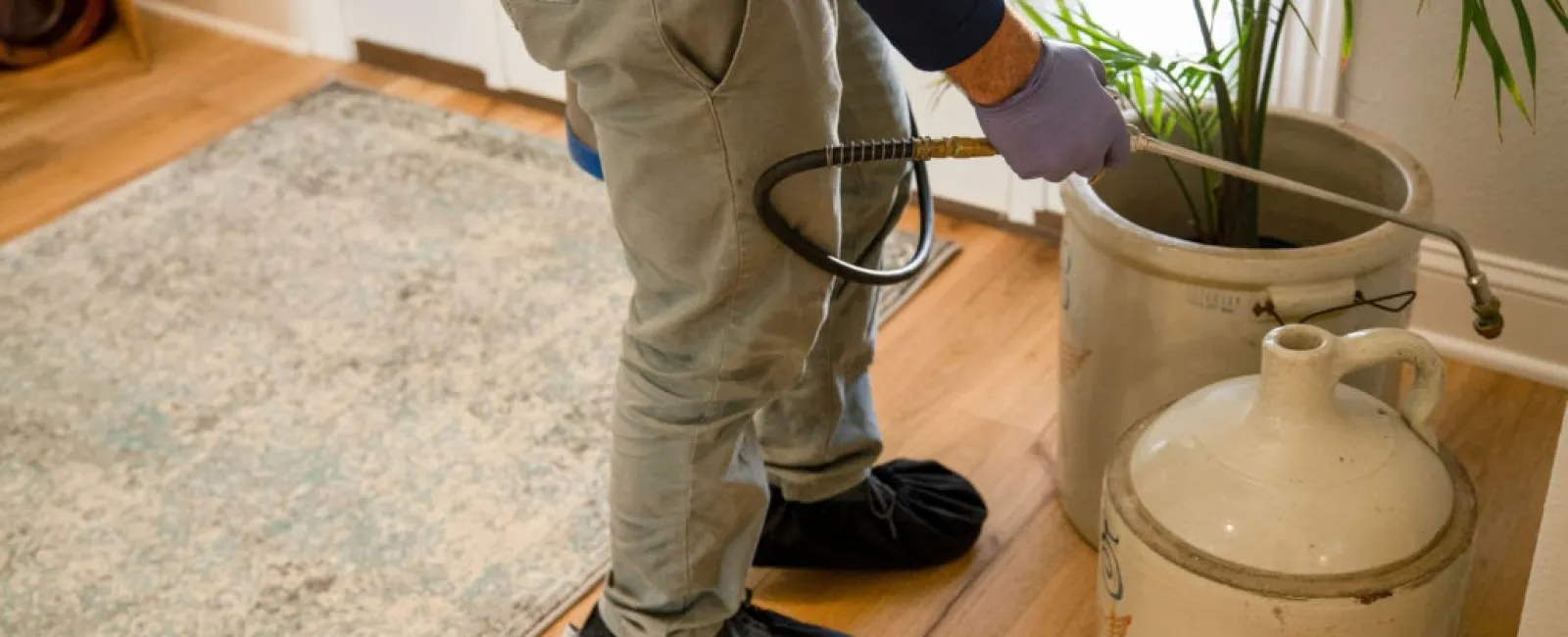 5 Tips To Help You Banish Bugs From Your Garage