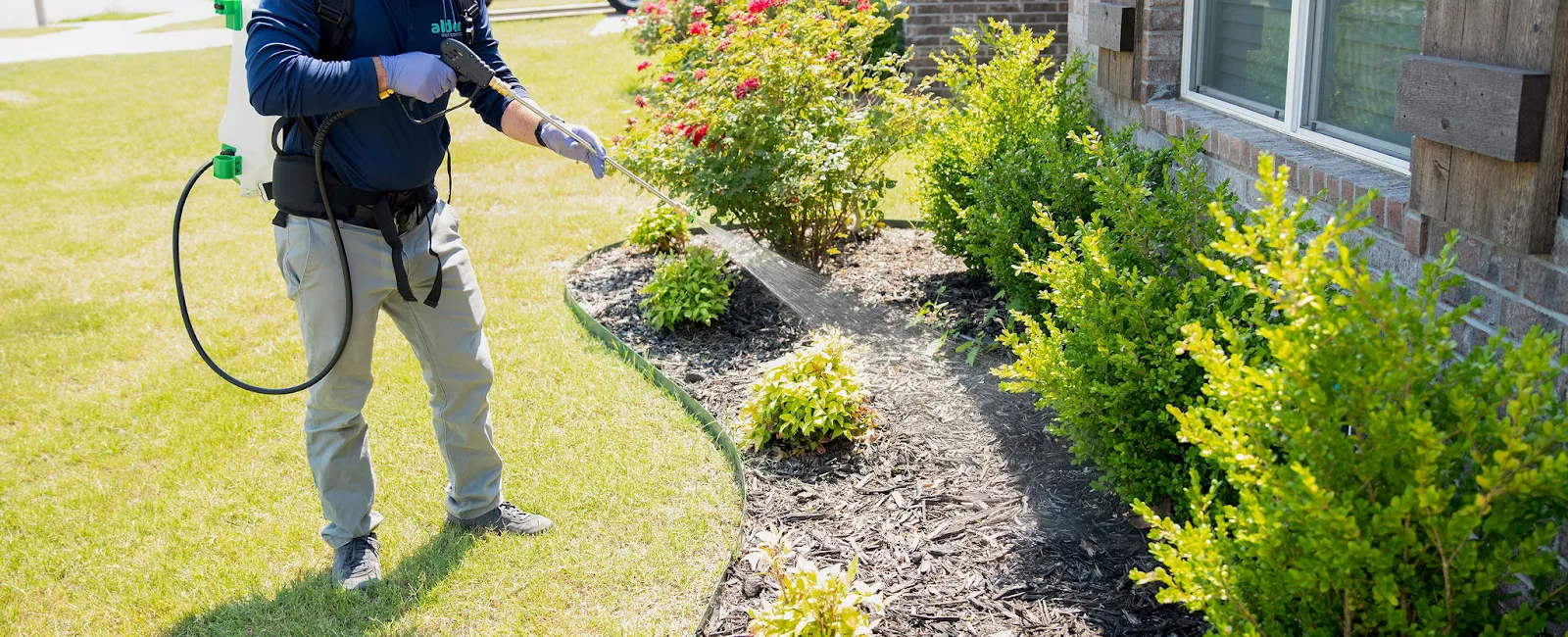 Common Pest Control Questions Answered
