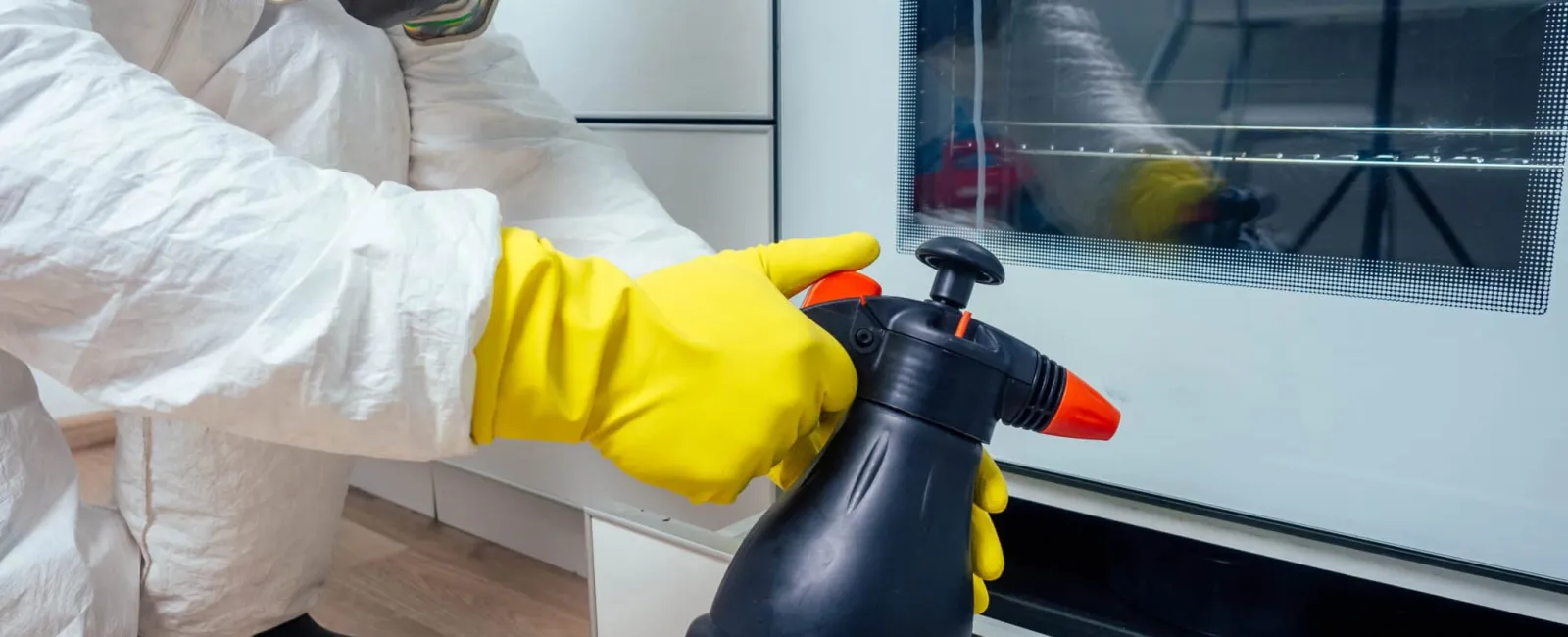 What’s Included In Pest Control?