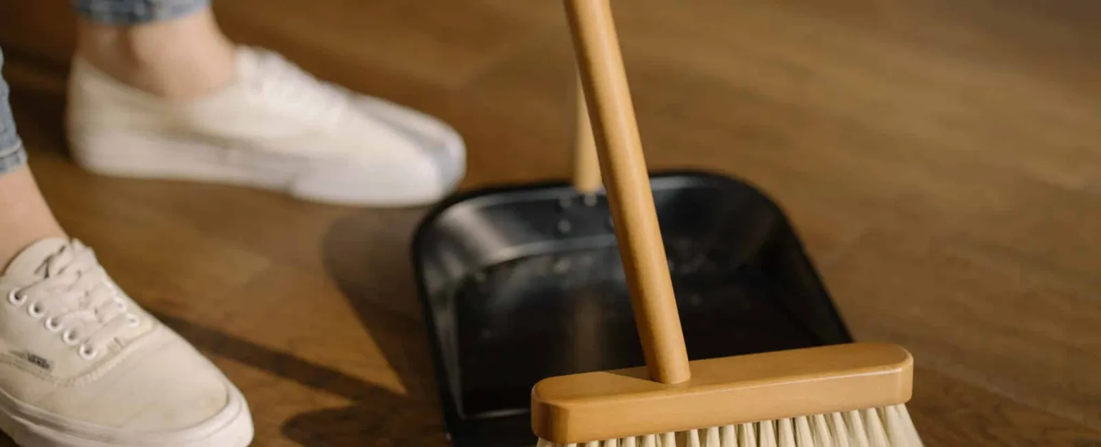 Should I Clean The House Before Or After Pest Control Treatments?