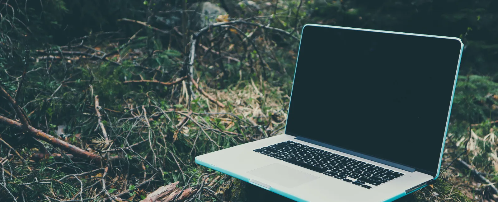 a laptop on the grass